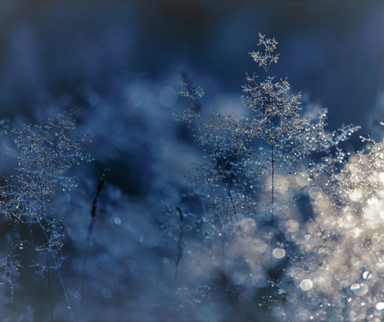 Maris Tammet - Enesearmastuse & Õnneliku elu Teejuht/Mentor & Self-Love and Happiness Mentor/Guide